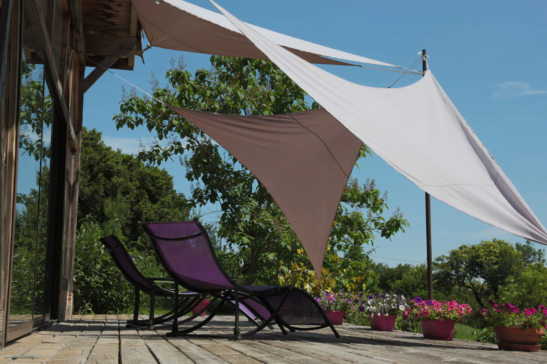 Terrasse ensoleillée avec plantes