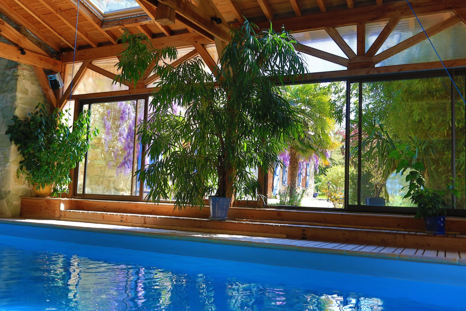 piscine vue maison